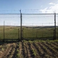 قیمت توری حصاری